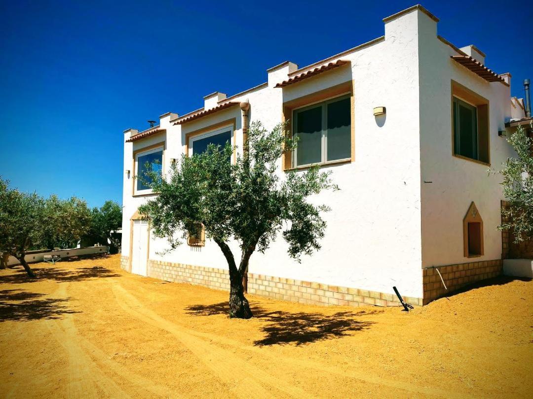 Villa Immersa In Oliveto Vista Mare 취아카 외부 사진