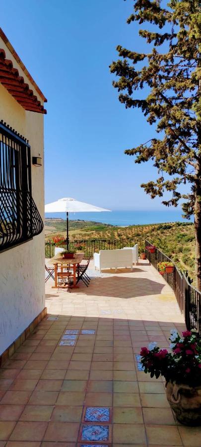 Villa Immersa In Oliveto Vista Mare 취아카 외부 사진