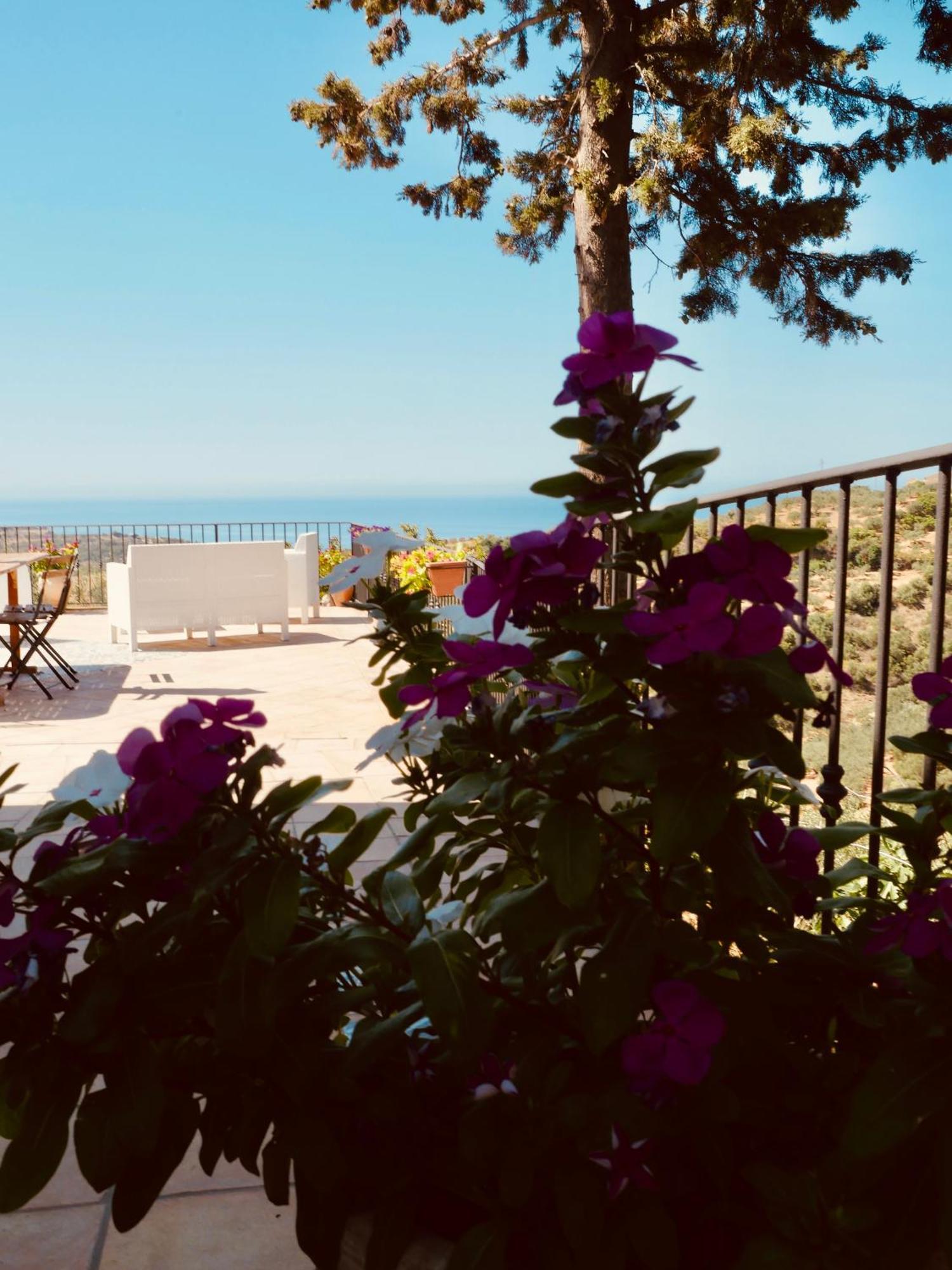 Villa Immersa In Oliveto Vista Mare 취아카 외부 사진